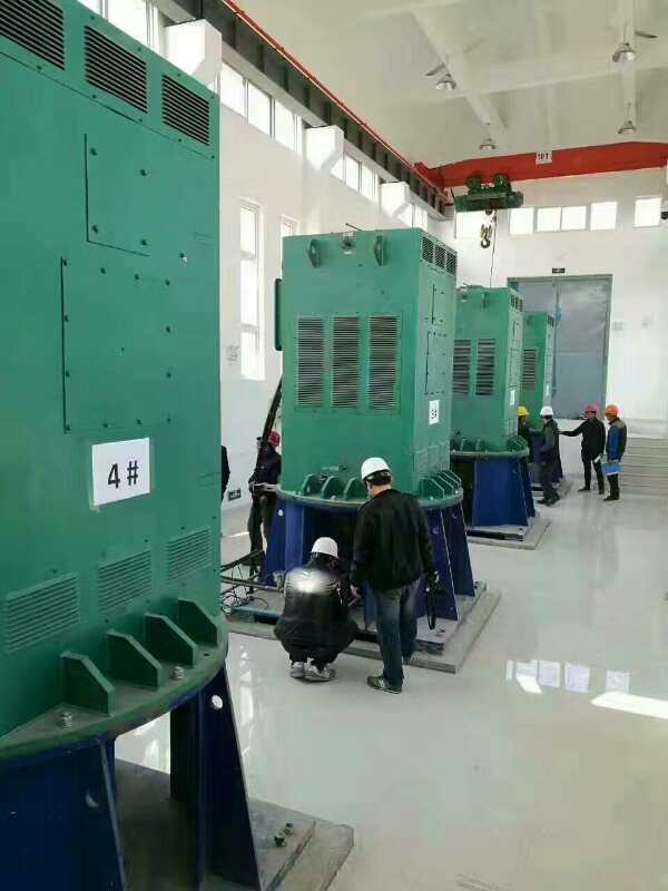 YKK800-4某污水处理厂使用我厂的立式高压电机安装现场
