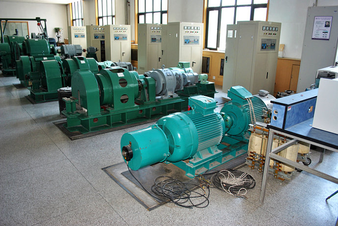 YKK800-4某热电厂使用我厂的YKK高压电机提供动力